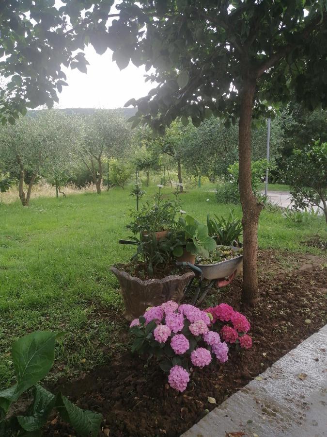 Apartman Petovic Kotor Exterior foto