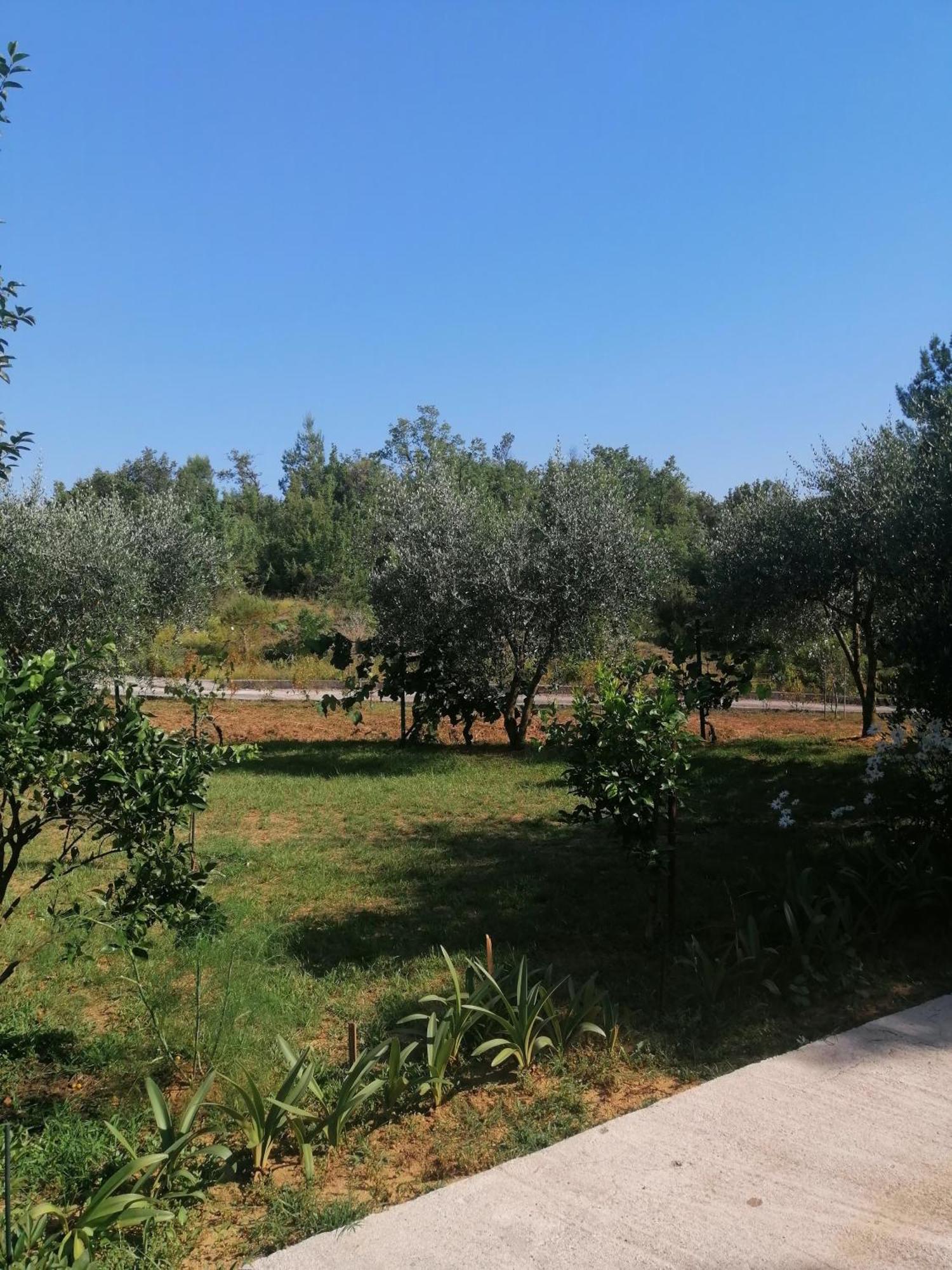 Apartman Petovic Kotor Exterior foto